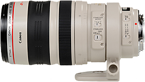 Canon 100-400 Lens