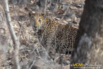 Ranthambhore National Park