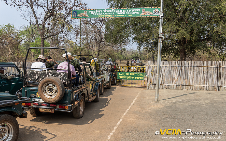 Moharli Gate, Tadoba