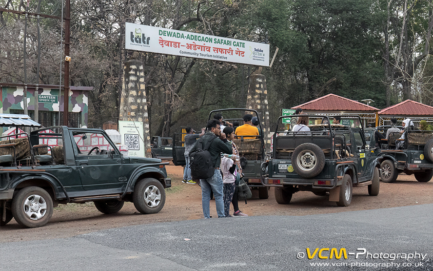 Dewada-Adegaon Gate, Tadoba