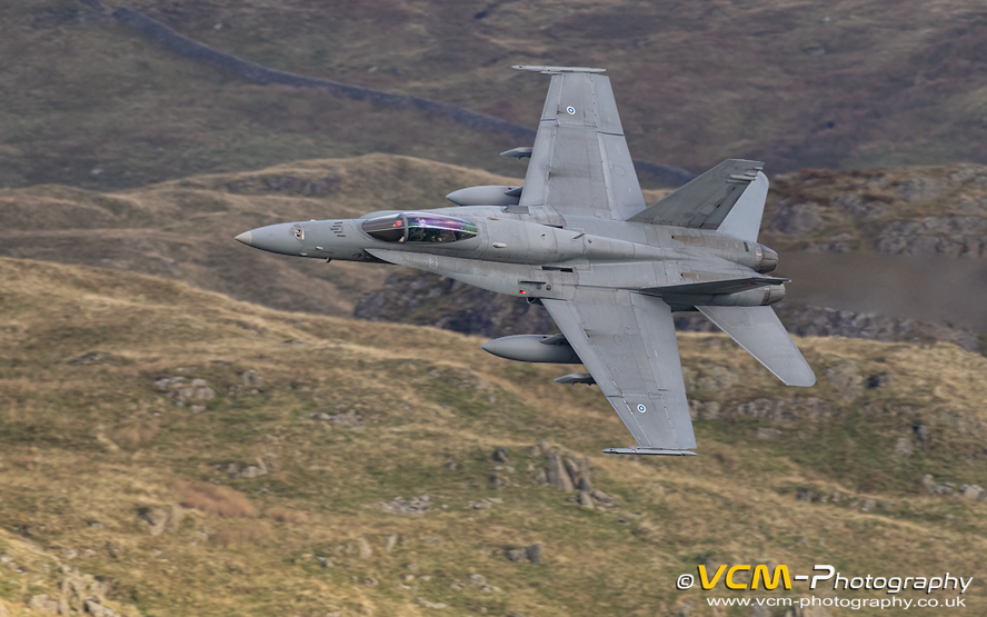 Finnish Air Force F/A-18C Hornet, HN-446 '46'.