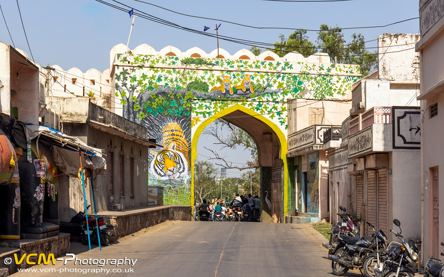 Possible leopard sighting at Sawai Madhopur