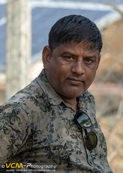 Sub-adult cub of Arrowhead.